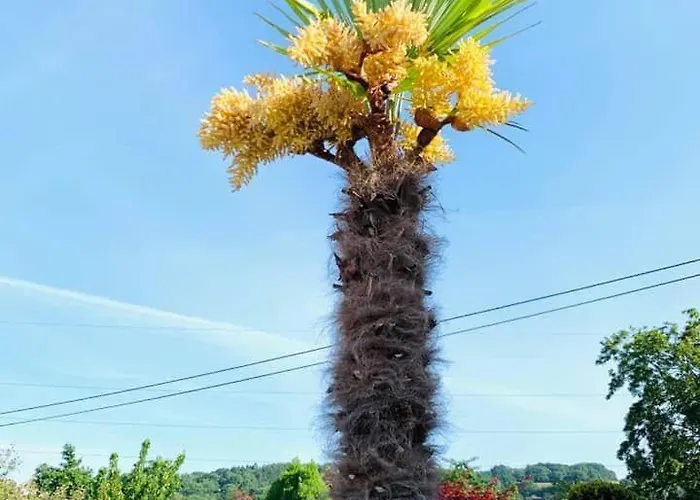 Holiday home A Chaudfontaine