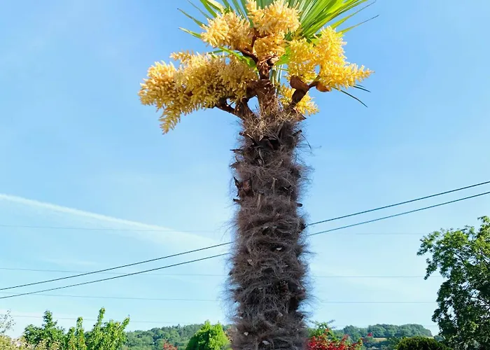 A Holiday home Chaudfontaine